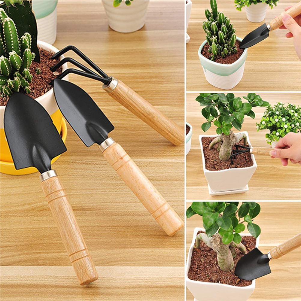 10-teiliges Garten- Und Bonsai-werkzeugset Für Sukkulenten, Inklusive Schaufeln, Rechen, Gabel, Schere Und Reinigungsbürste