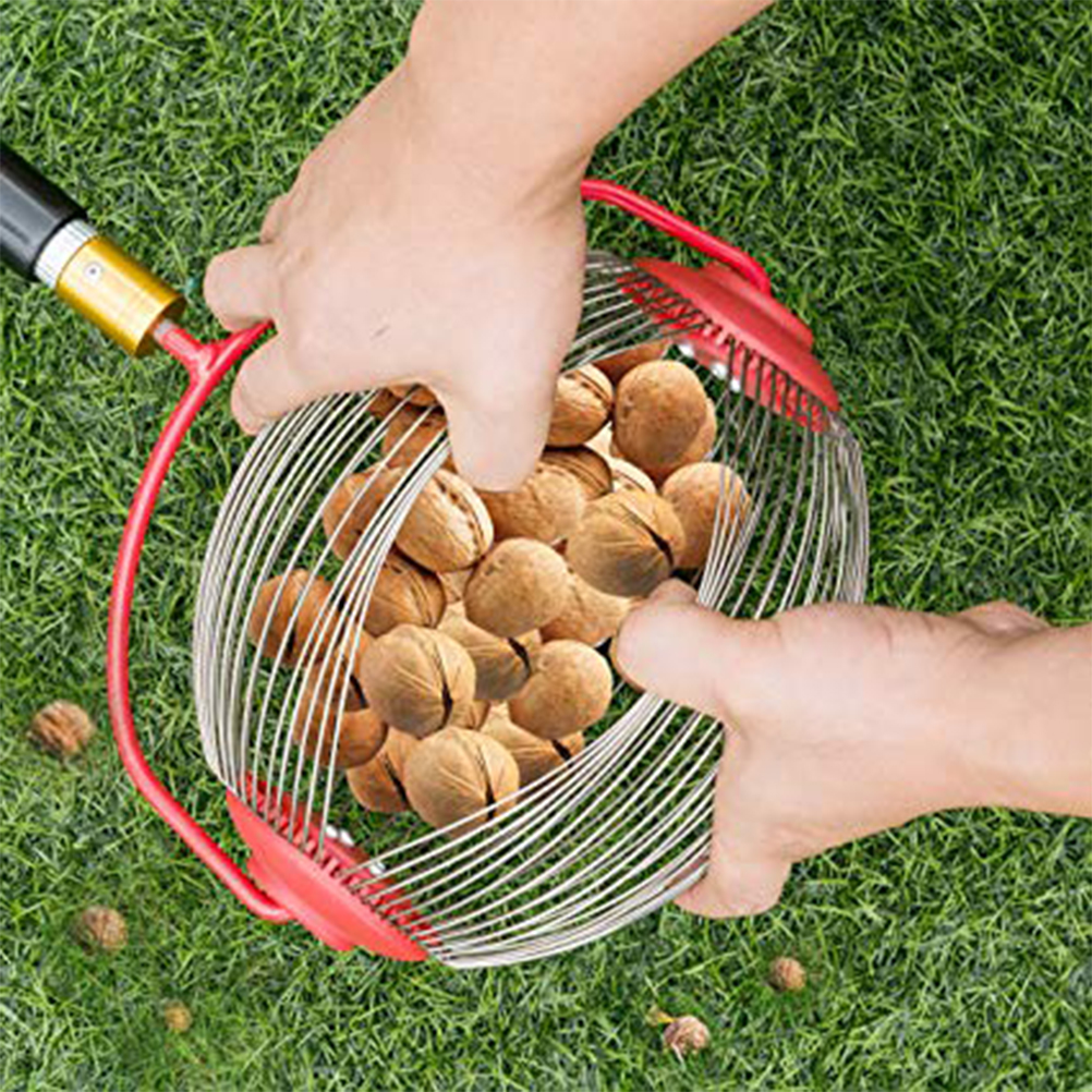 Verstellbarer, Leichter, Rollbarer Nusssammler Für Rasen Und Garten