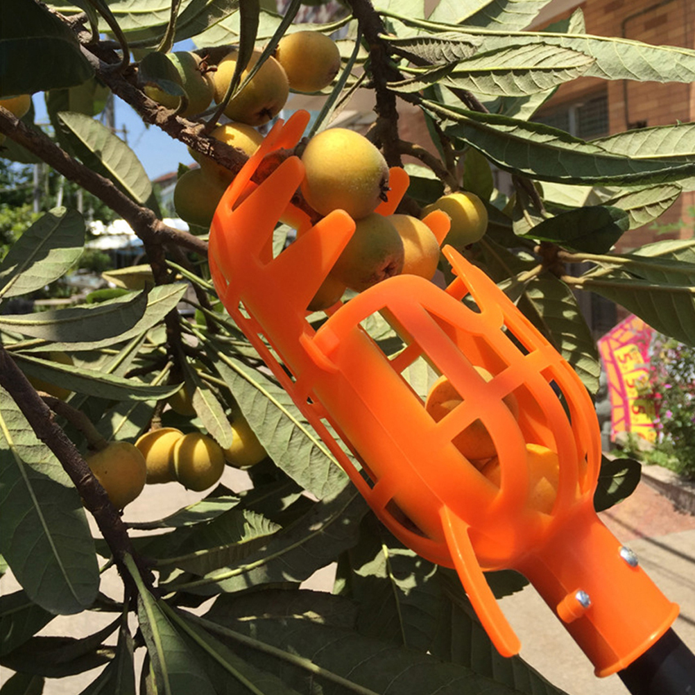 Obstpflücker Aus Kunststoff, Erntepflückerkopf, Obstkorb, Obstfänger