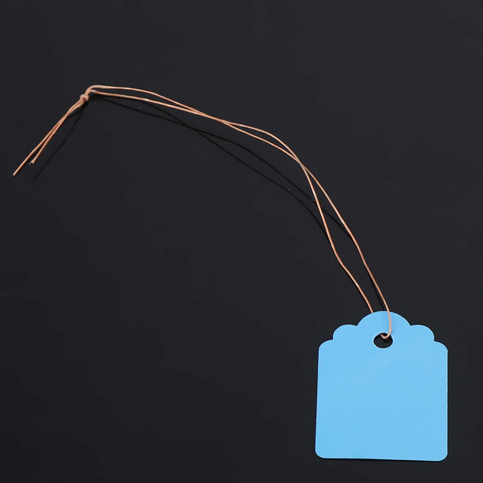 200 Blaue Gartenetiketten, Hängende Pvc-saatgutstecker Für Blumenpflanzen, Langlebige Etiketten Für Den Gemüsegarten Im Freien
