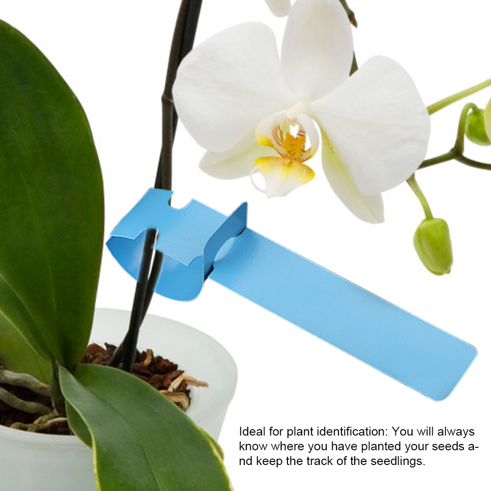 Packung Mit 100 Blauen Pflanzenetiketten Aus Kunststoff, Gartenstecker, Außendekoration, Langlebige Gartenstecker, Gemüsegartenzubehör