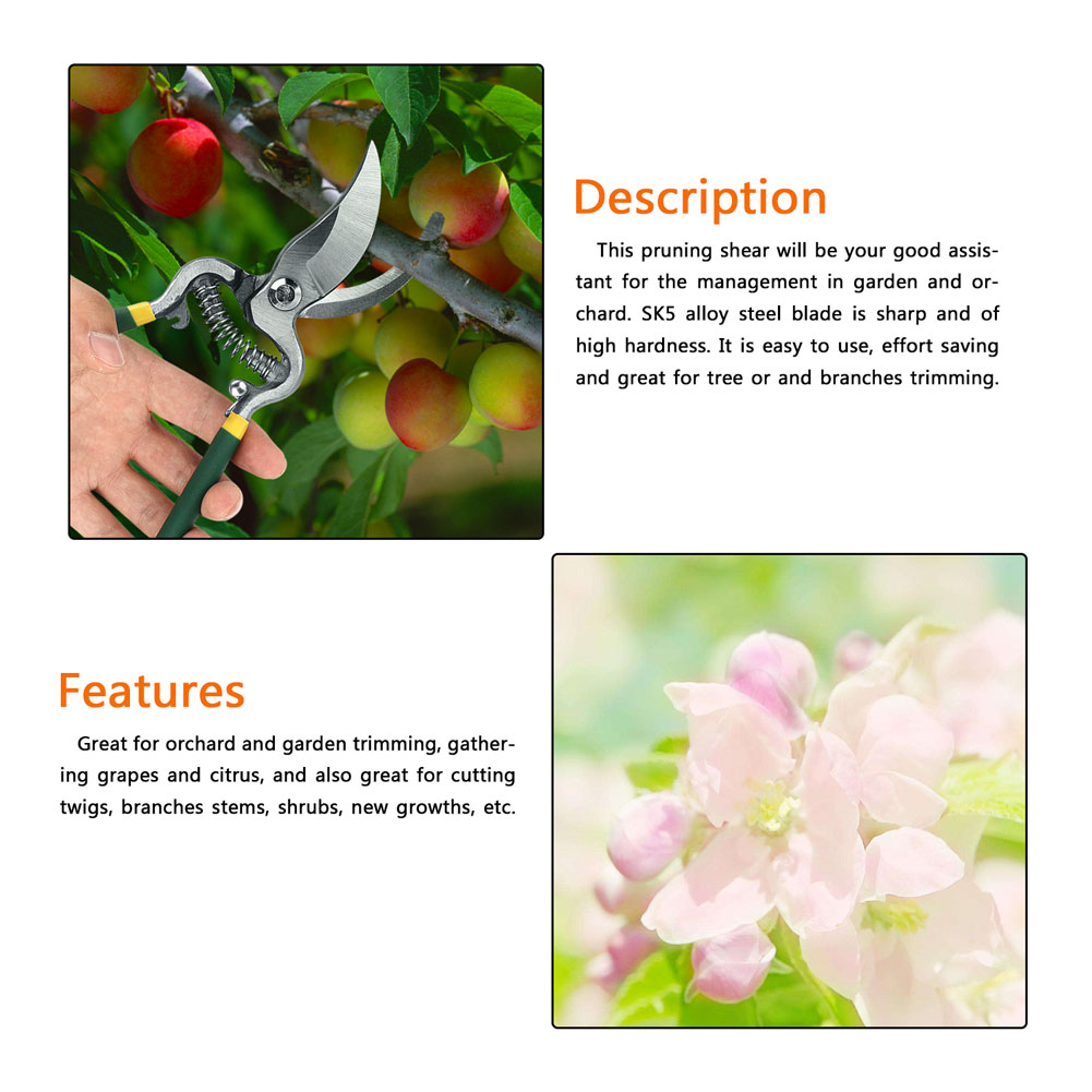 Hochleistungs-gartenschere Für Obstbäume, Bonsai-gartenschere, Veredelungswerkzeug, Sauberer Schnitt, 1-teilig, Langlebiger Stahl.