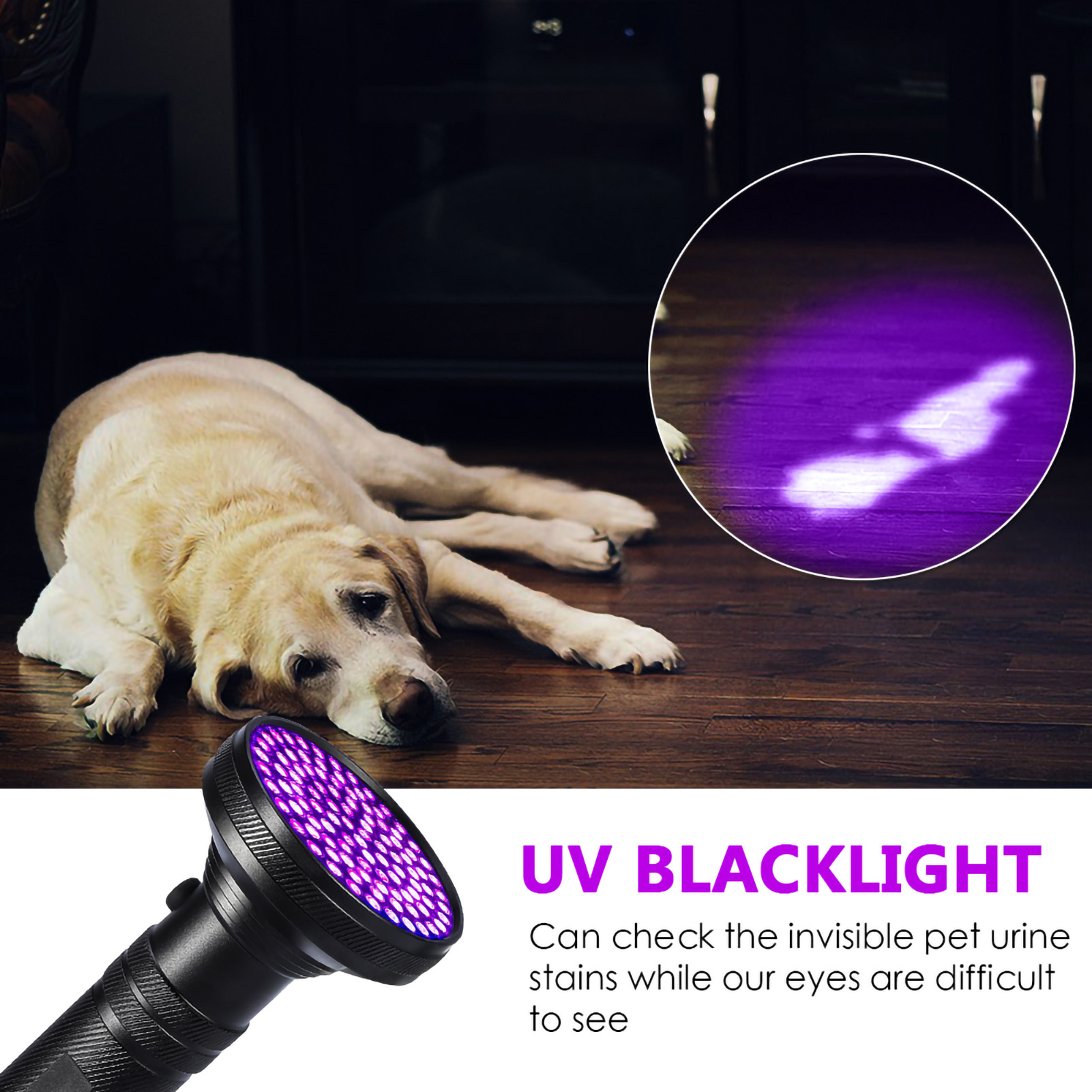 Uv-lampe Zum Aufspüren Von Haustierurin, 100-led-schwarzlicht-taschenlampe, Unsichtbarer Fleckendetektor, Mit Uv-schutzbrille, Schwarz, Für Hunde Und Katzen