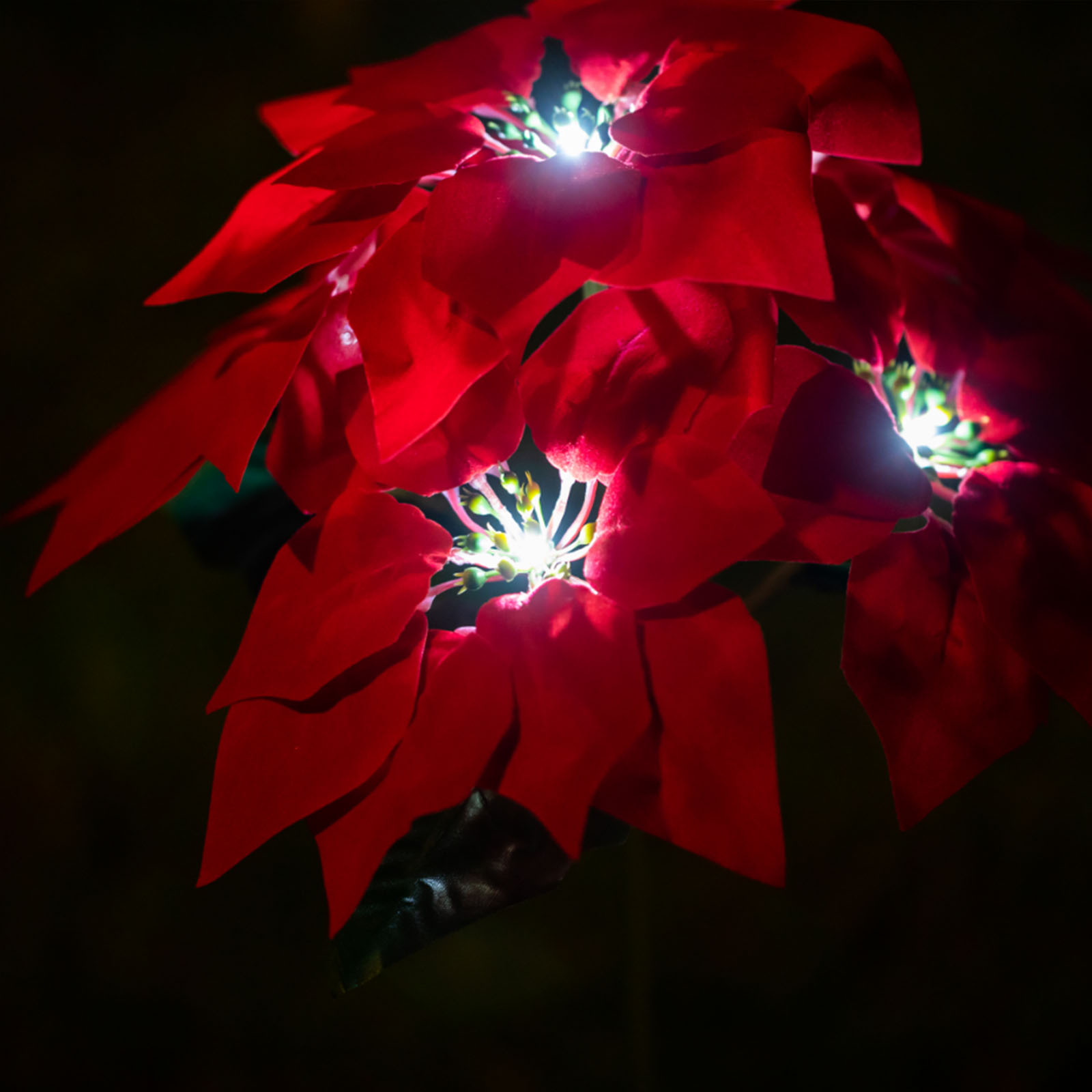 2er-set Solar-gartenleuchten, 5 Leds, Weißes Licht, Blumenstecker, Außendekoration, Party, Weihnachten, Landschaftsbeleuchtung