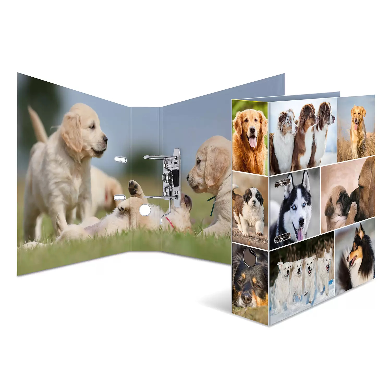 A4-ordner – Hunde