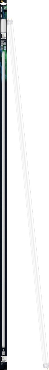 Belallux LED Röhre 150 cm G13 18,3 W neutralweiß Bild 4