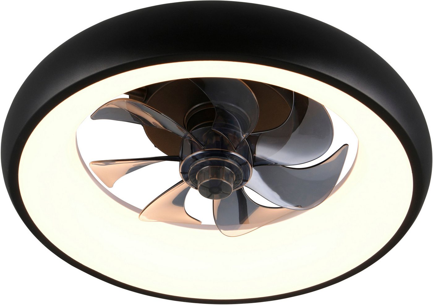 Reality Leuchten LED Deckenleuchte MUONIO mit Ventilator, Deckenventilator mit Licht, 20W LED CCT Ø 40cm, CCT - über Fernbedienung, Dimmfunktion, Fernbedienung, Infrarot inkl., Memoryfunktion, Nachtlichtfunktion, Timerfunktion, Ventilatorfunktion, getrennt schaltbar, LED fest integriert, Farbwechsler, warmweiß - kaltweiß, Fernbedienung 3 Geschwindigkeiten Timer Vor- & Rücklauf dimmbar