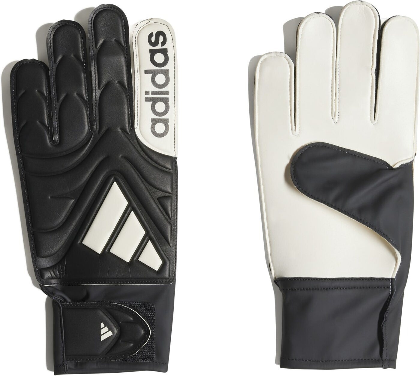 adidas Sportswear Torwarthandschuhe COPA GL CLB BLACK/WHITE Bild 4