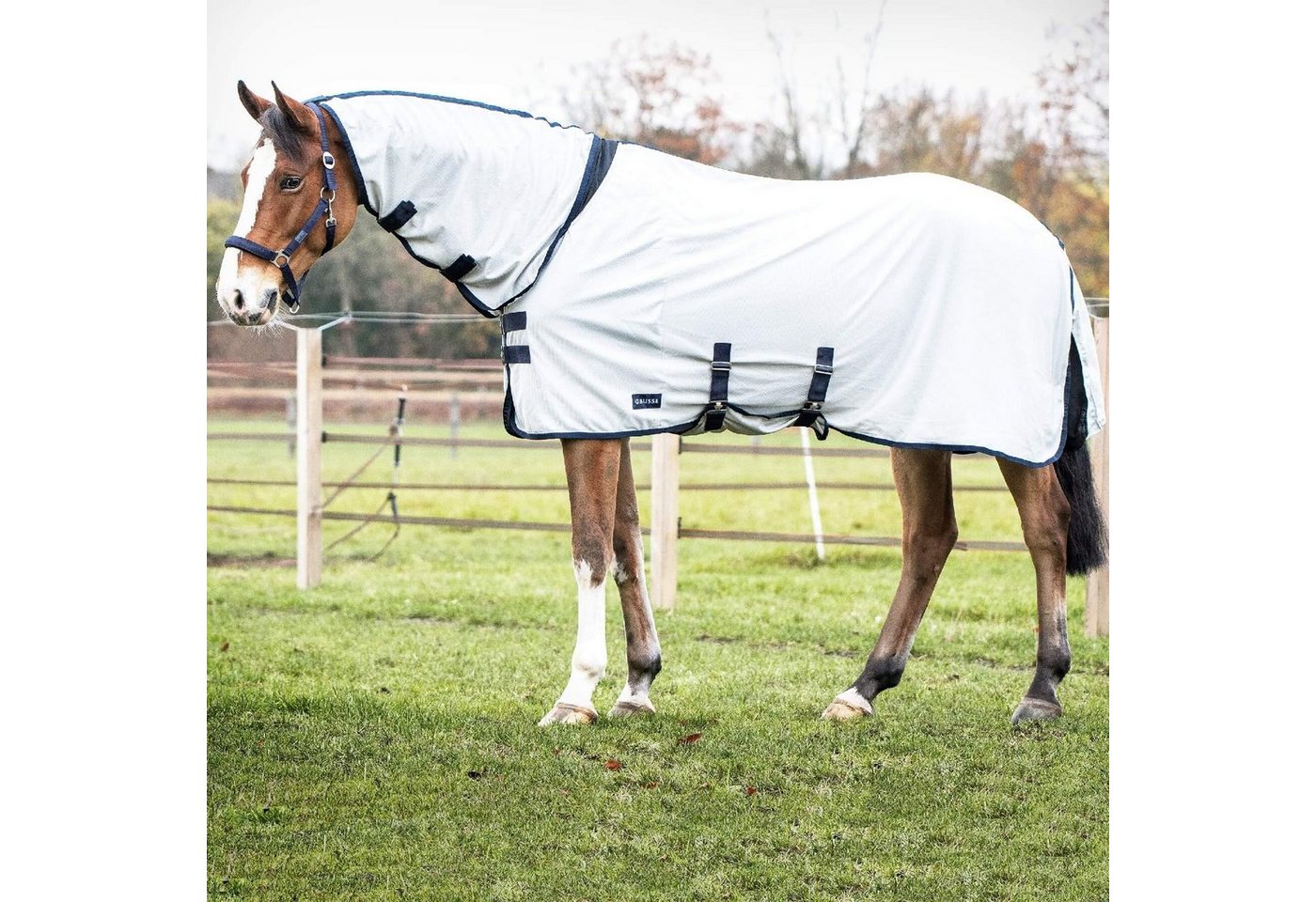BUSSE Pferde-Fliegendecke BUSSE Outdoor-Fliegendecke COMFORT PRO