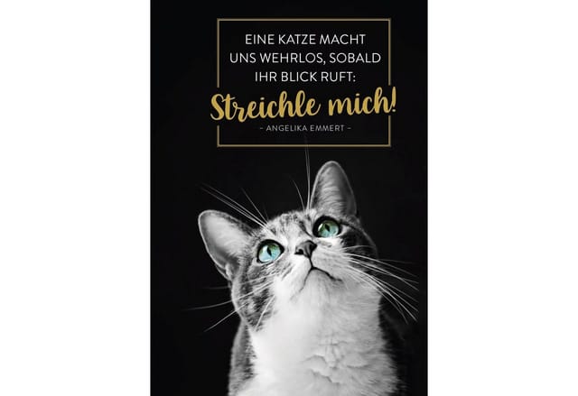 groh Verlag Taschenkalender Buchkalender 2027: Für Katzenfreunde