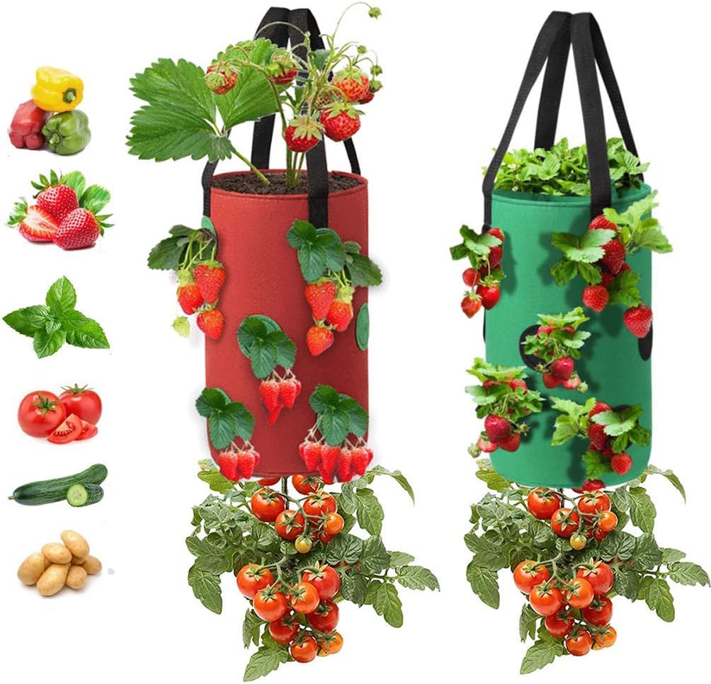 2er-pack Erdbeer-anbaubeutel, 3 Gallonen Erdbeer-anbaubeutel Aus Vliesstoff Mit Griffen, 12 Pflanzlöcher-anbaubeutel, Hängender Erdbeer-tomaten-übertopf Tomatengarten-gemüsepflanzung (rot + Grün)