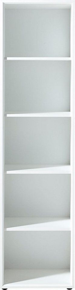 GERMANIA Aktenregal GW-Monteria, in 2 Höhen, Fächer mit Ordnerhöhe, Breite 50 cm, Made in Germany Bild 2