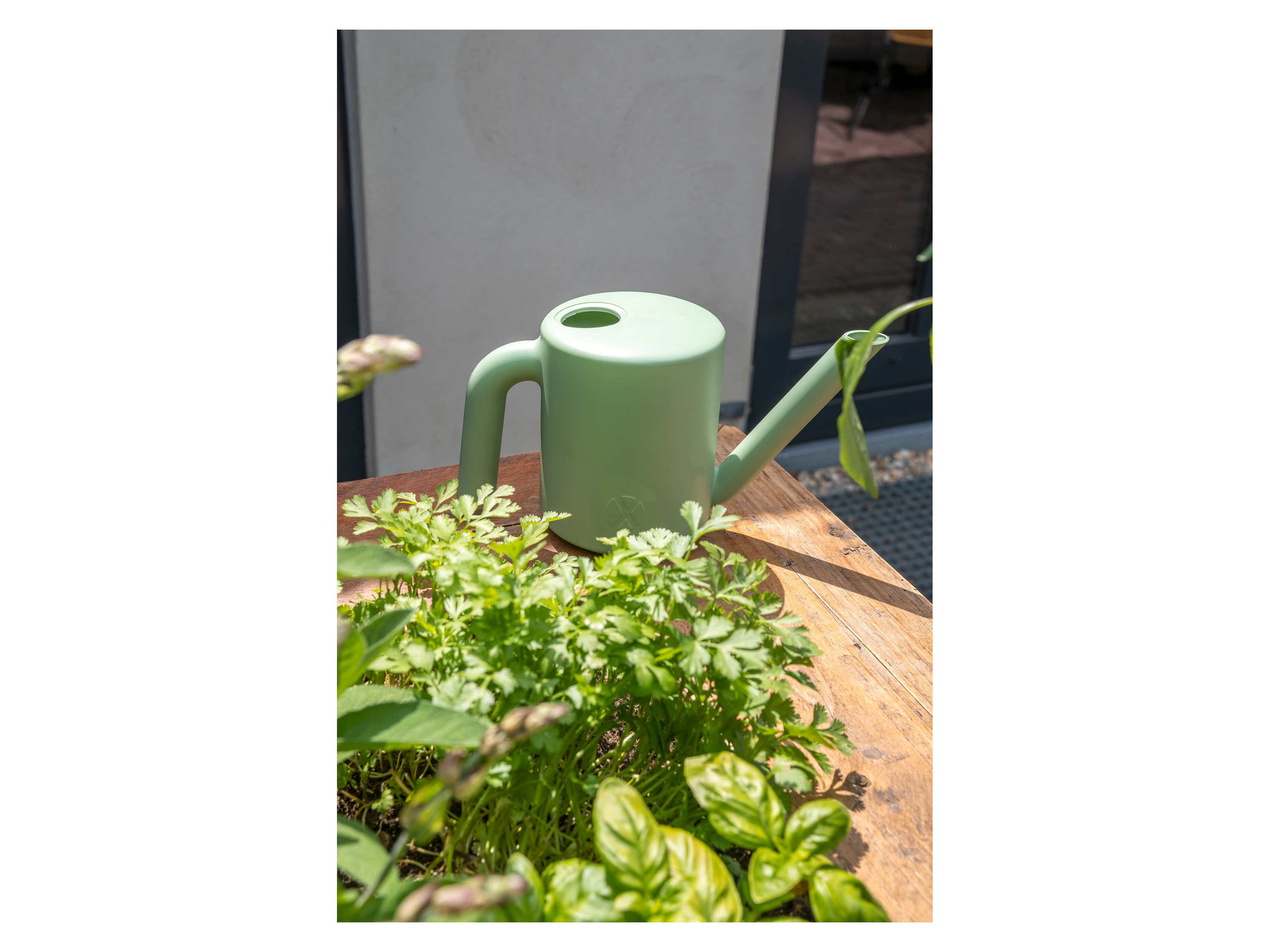 XALA Gieβkanne »Kappu«, 2 l (Grün)