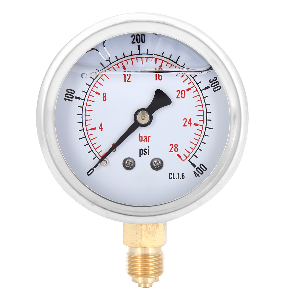 Ölgefülltes Radialmanometer, Tspgg60428bar 1/4bsp Y60, Manometer Für Maschinen