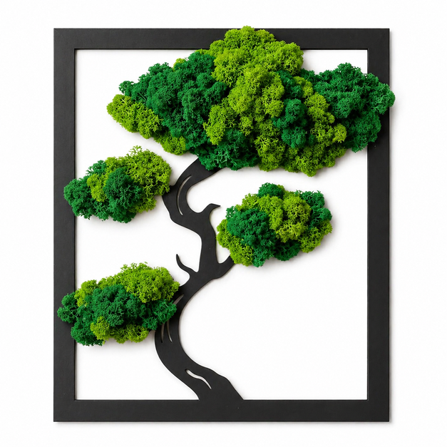 Rechteckiger Bonsai-baum Mit Moos