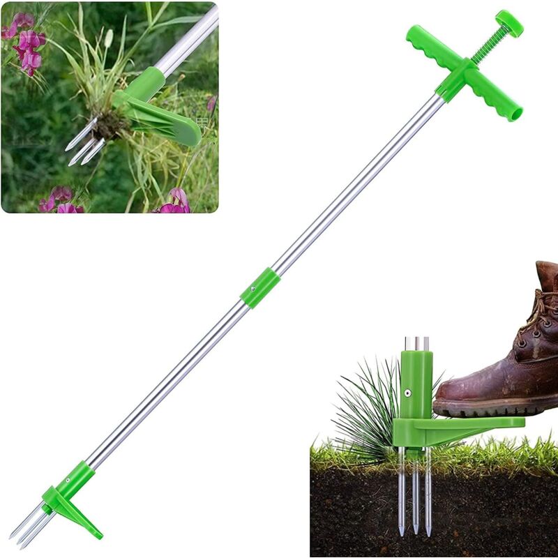 Manuelles Unkrautstecher Aus Edelstahl Mit 3 Zinken. Löwenzahn-entferner Für Den Garten. Manuelles Unkrautstecher. Zum Jäten Im Garten.