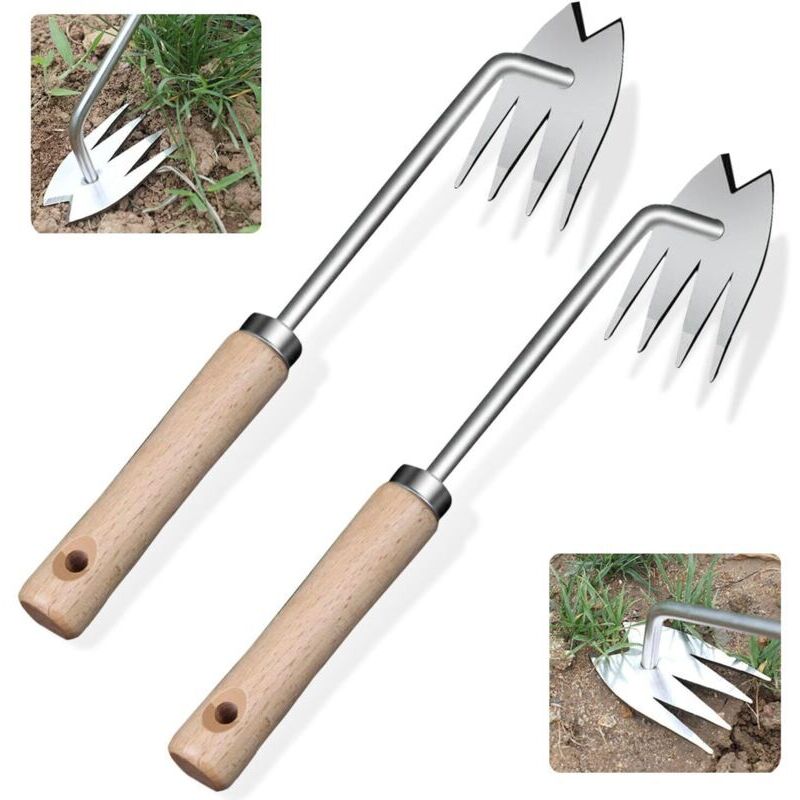 Set Mit 2 Handunkrautstechern. Manuelles Unkrautentfernungswerkzeug. Unkrautentferner Aus Edelstahl. Gartenunkrautstecher. Unkrautentfernungswerkzeug Aus Edelstahl.