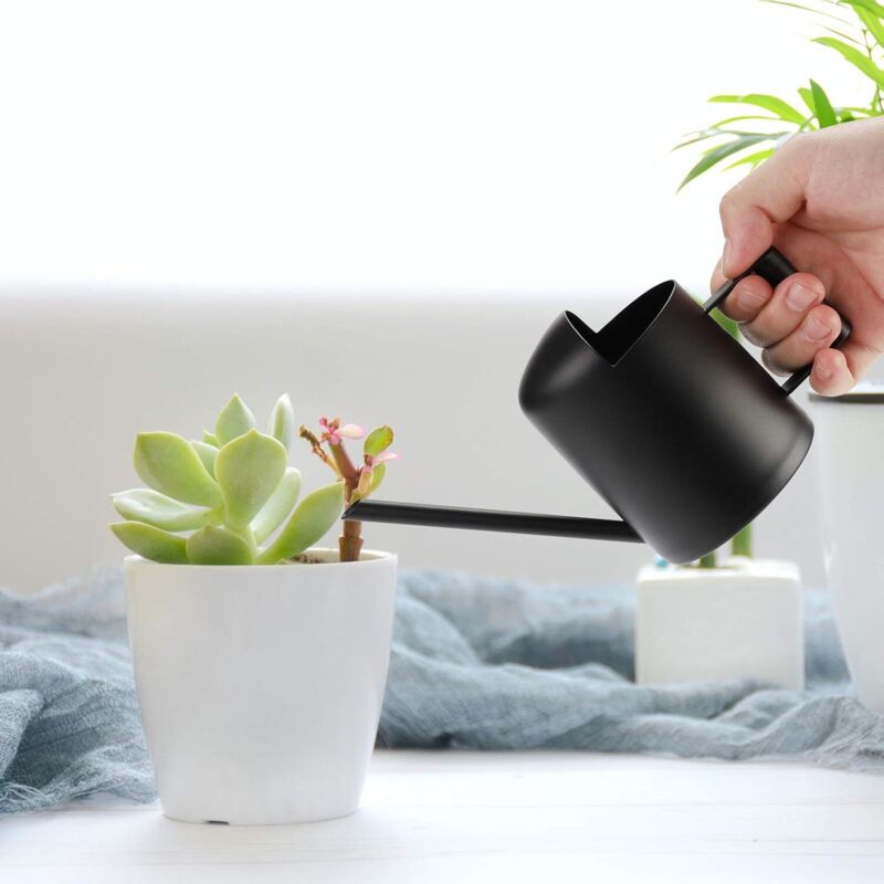 300-ml-gießkanne Aus Edelstahl Mit Langem Ausguss, Mini-gießkanne Aus Metall Für Zimmer- Und Gartenpflanzen, Schwarz