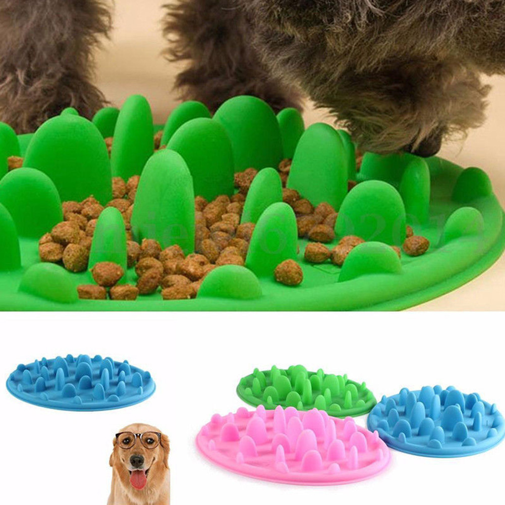 Silikon-fressnapf Mit Anti-fress-funktion, Welpennapf Für Langsames Fressen, Vorbeugung Von Übergewicht, Futternapf Für Kleine Hunde
