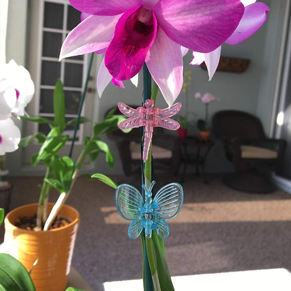 Set Mit 30 Libellen- Und Orchideenclips, Pflanzenstützen Aus Kunststoff Für Den Garten, Blumen- Und Rankenbinder