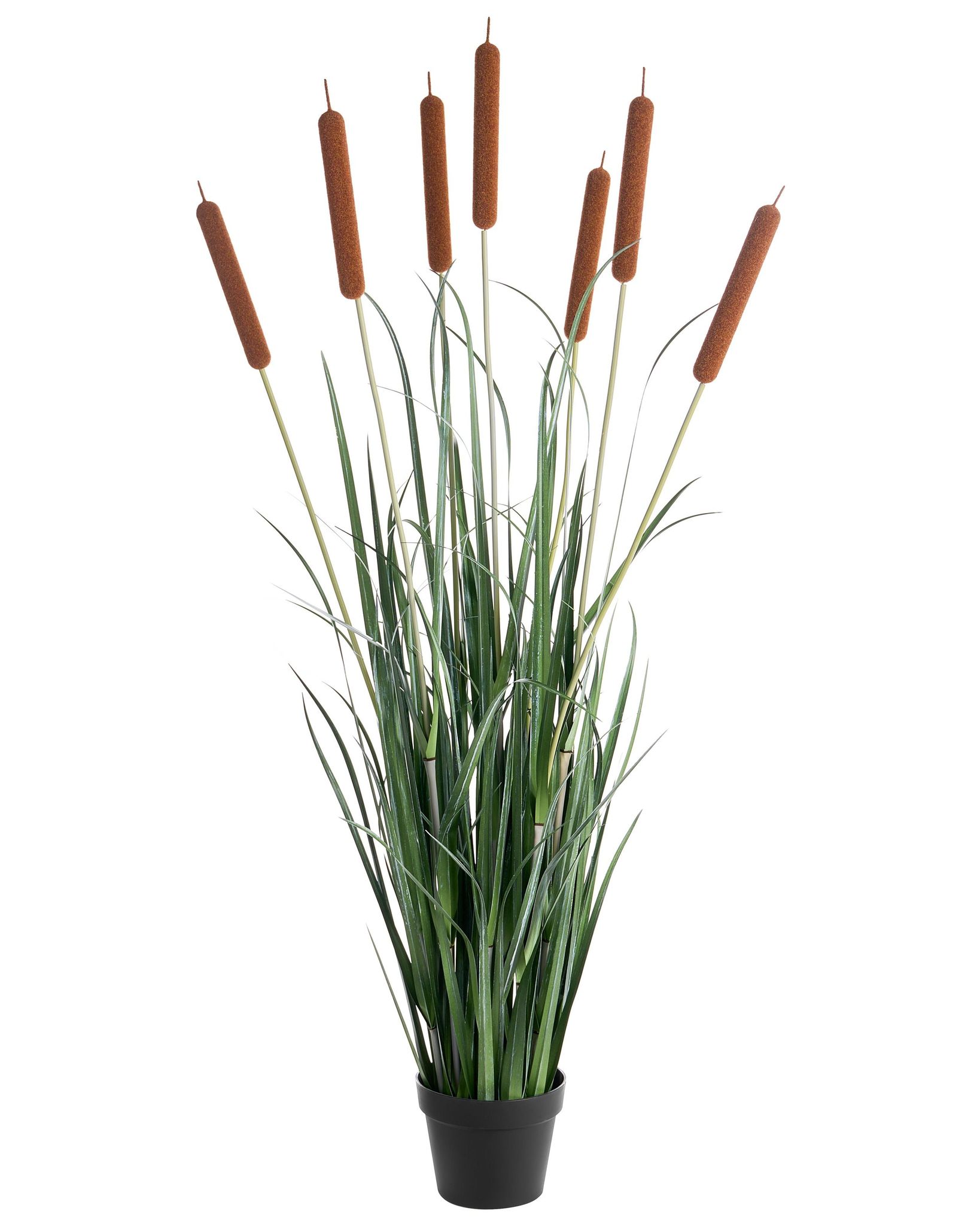 Kunstpflanze Bulrush 135 Cm Grün