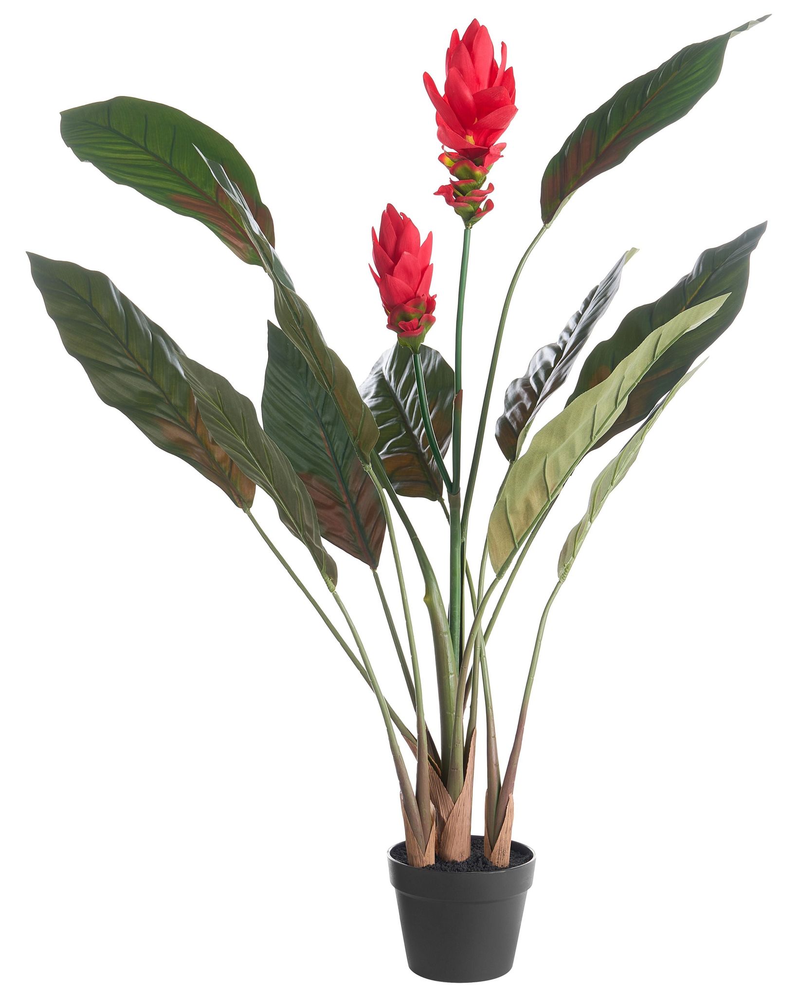 Kunstpflanze Purpurata 130 Cm Rot