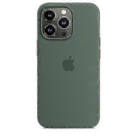 Silikon-handyhülle Für Iphone 13 Pro 13pro (eukalyptus)