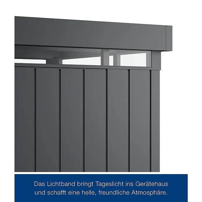 EcoStar Euroline Lichtausschnitt FD10 (262 x 17 cm)