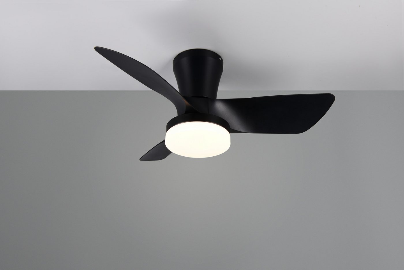 Reality Leuchten LED Deckenleuchte RANDERS mit Ventilator, Deckenventilator mit Licht inkl Fernbedienung, Ventilatorfunktion, LED fest integriert, warmweiß - kaltweiß, 6 Geschwindigkeiten Timer Vor- & Rücklauf LED dimmbar CCT Nachtlicht