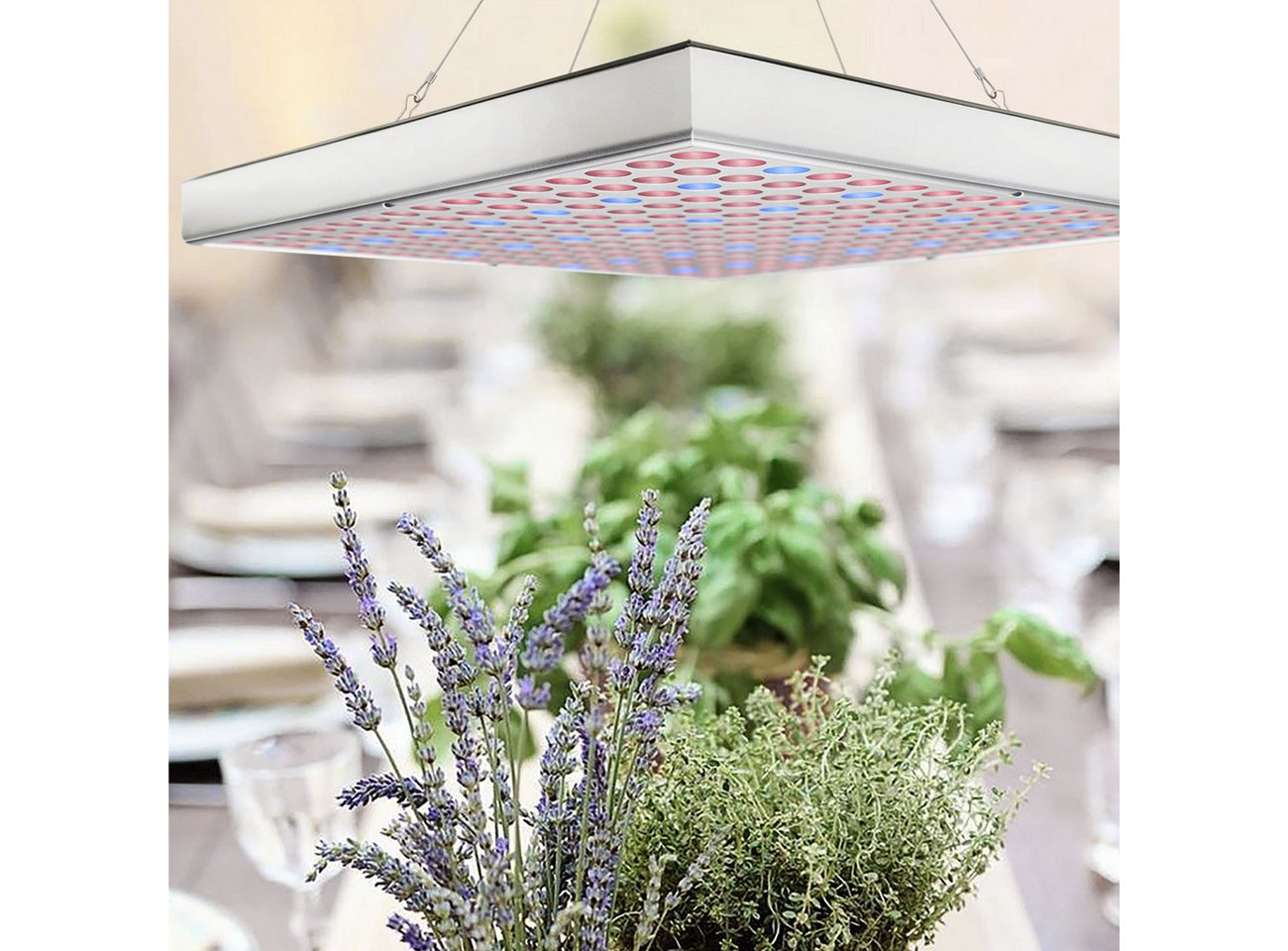Casativo Pflanzenlampe Pflanzen-Wachstumslampe mit 225 LEDs 250 Lumen 14W 300x300x35mm, LEDs, Beleuchtungsstärke 500 Lux, 250 Lumen, Dauer 30.000 Stunden