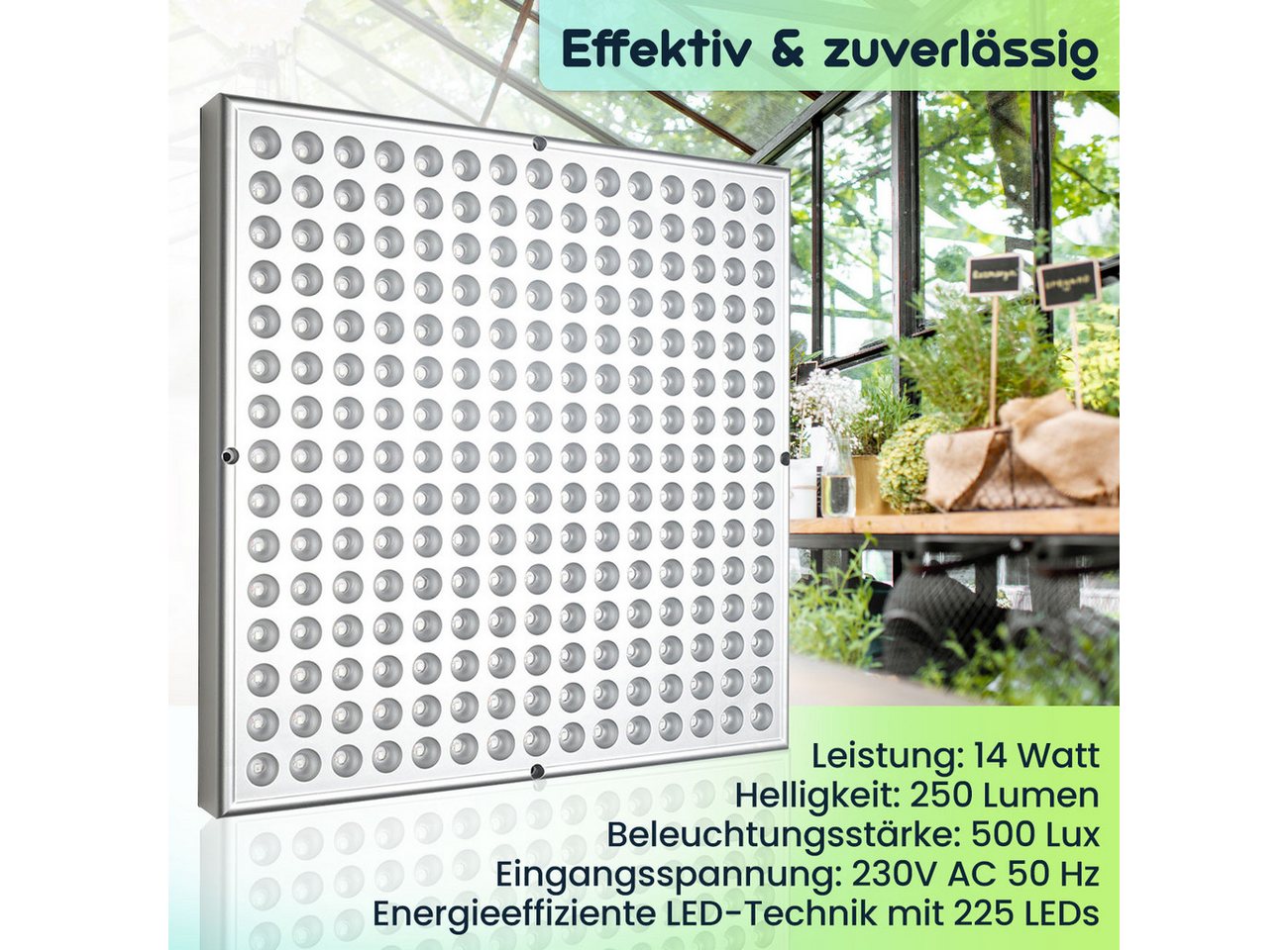 Casativo Pflanzenlampe Pflanzen-Wachstumslampe mit 225 LEDs 250 Lumen 14W 300x300x35mm, LEDs, Beleuchtungsstärke 500 Lux, 250 Lumen, Dauer 30.000 Stunden Bild 2