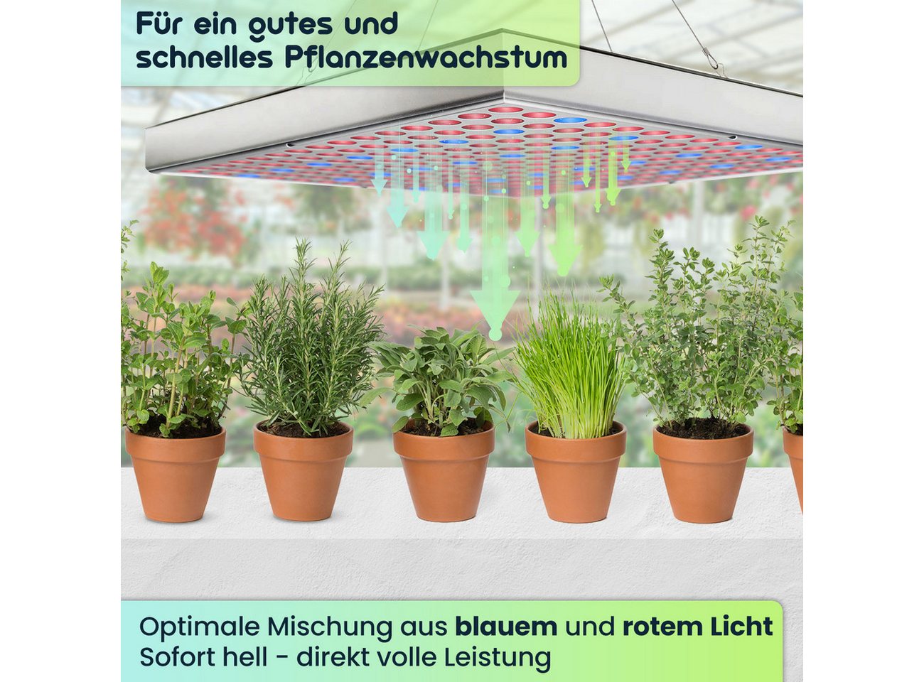 Casativo Pflanzenlampe Pflanzen-Wachstumslampe mit 225 LEDs 250 Lumen 14W 300x300x35mm, LEDs, Beleuchtungsstärke 500 Lux, 250 Lumen, Dauer 30.000 Stunden Bild 4