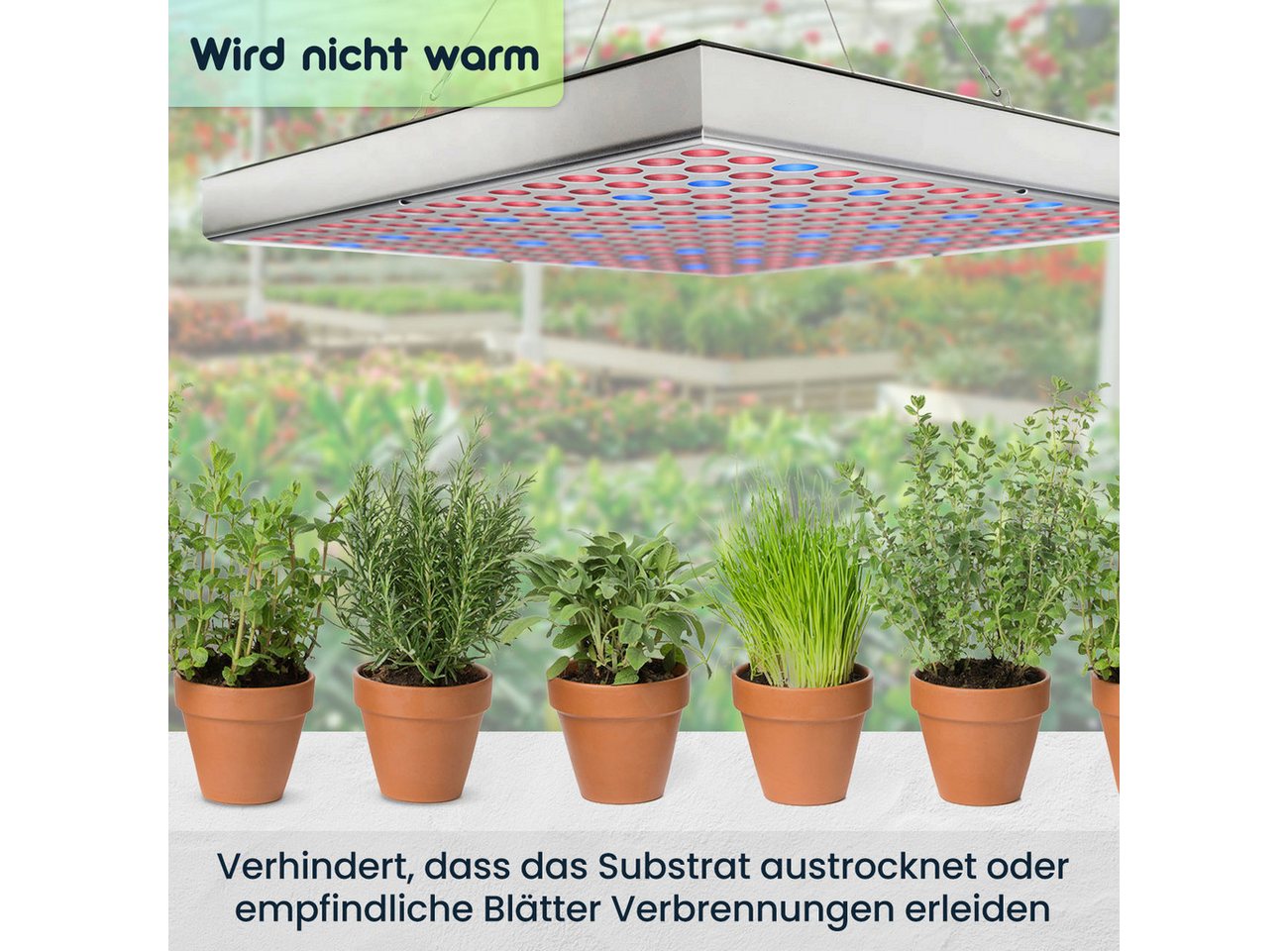 Casativo Pflanzenlampe Pflanzen-Wachstumslampe mit 225 LEDs 250 Lumen 14W 300x300x35mm, LEDs, Beleuchtungsstärke 500 Lux, 250 Lumen, Dauer 30.000 Stunden Bild 5