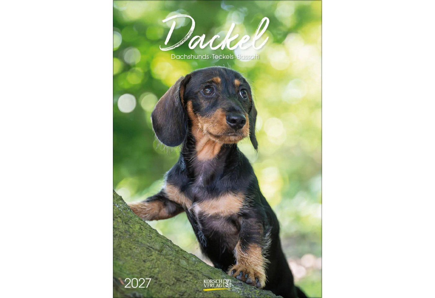 Korsch Verlag Wandkalender Dackel 2027 Bild 3