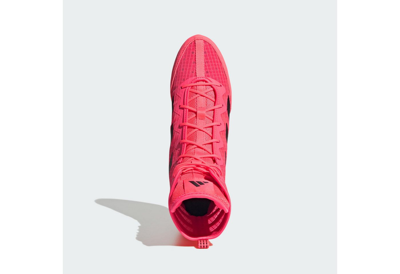 adidas Performance BOX HOG 4 BOXSCHUH Boxschuh