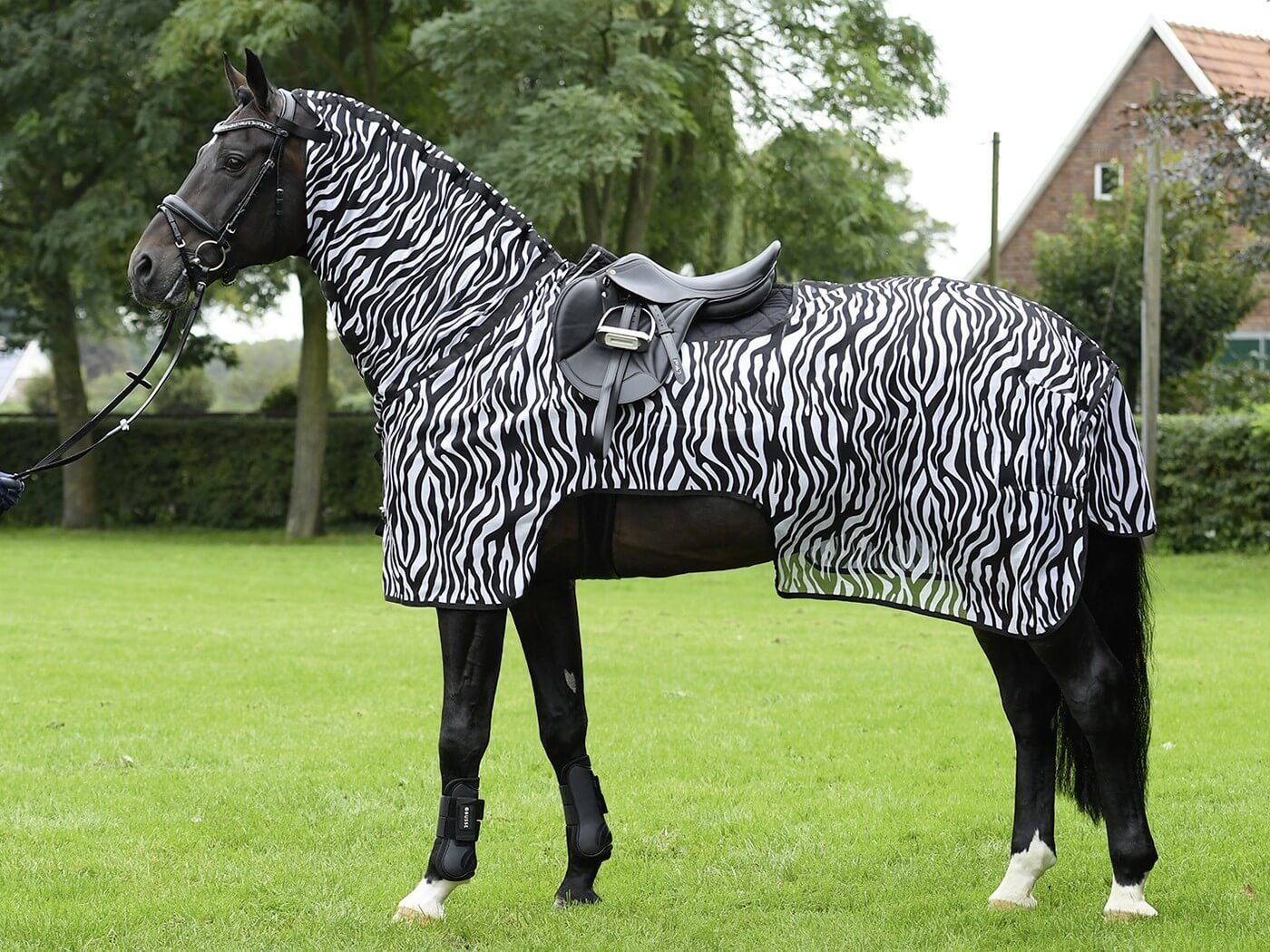 BUSSE Ausreitdecke BUSSE Ausreitdecke MOSKITO ZEBRA III Bild 2