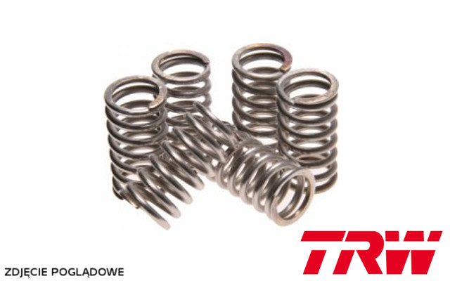 Trw Zf Kupplungsfedern Yamaha Xv 125 / 250 Virago 89-01, Xvs Drag Star 125 / 250 01-04, (ebs052)