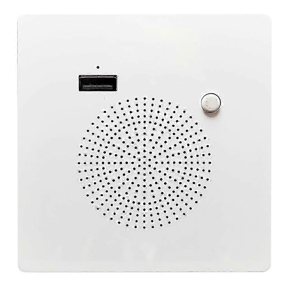 Panneau Haut-parleur Bluetooth, Panneau De Chargement Usb Domestique, Support Audio Mural, Lecture De Clés Usb Hf