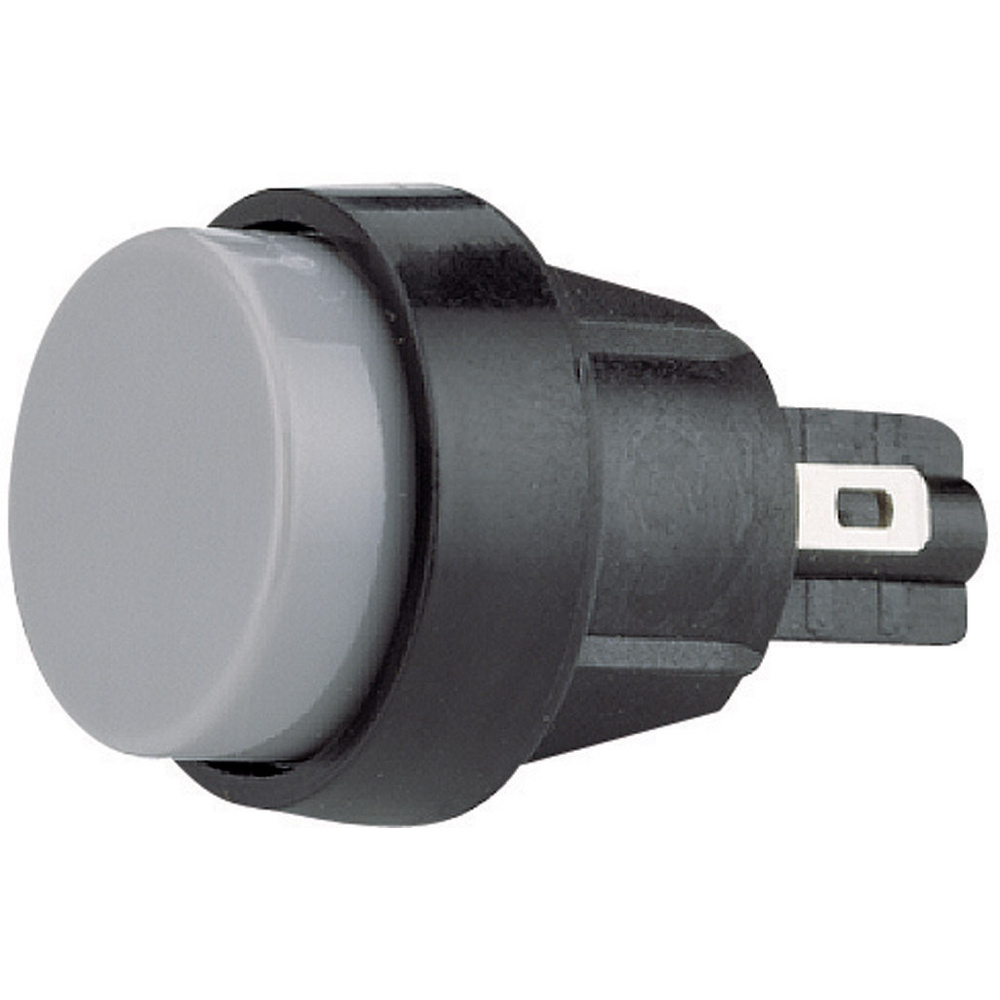 5000.0101 5000.0101 Drucktaster 250 V/ac 4 A 1 X Aus/(ein) Tastend (ø) 20 Mm Ip40 1 St. - Marquardt