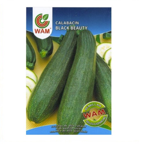 Wam Black Beauty Zucchini Samen, Ð©ber 8 G