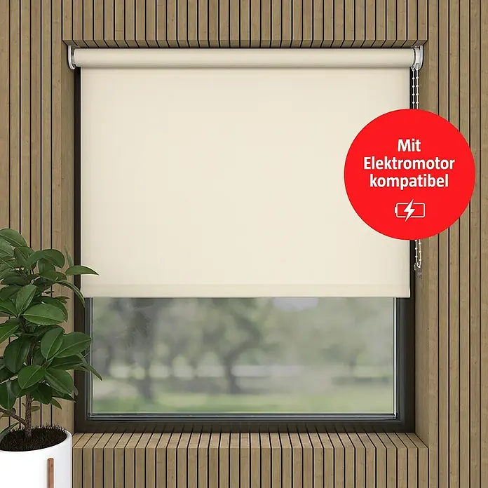 Rollo (B x H: 75 x 190 cm, Beige, Tageslichtdurchlässig)