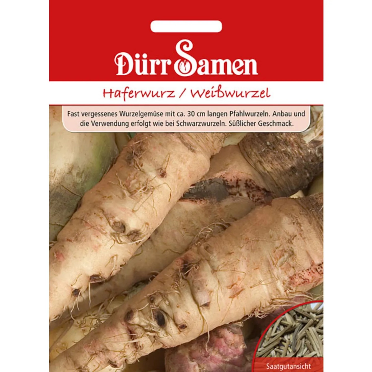 Dürr Samen Haferwurz Weißwurzel Saatgut