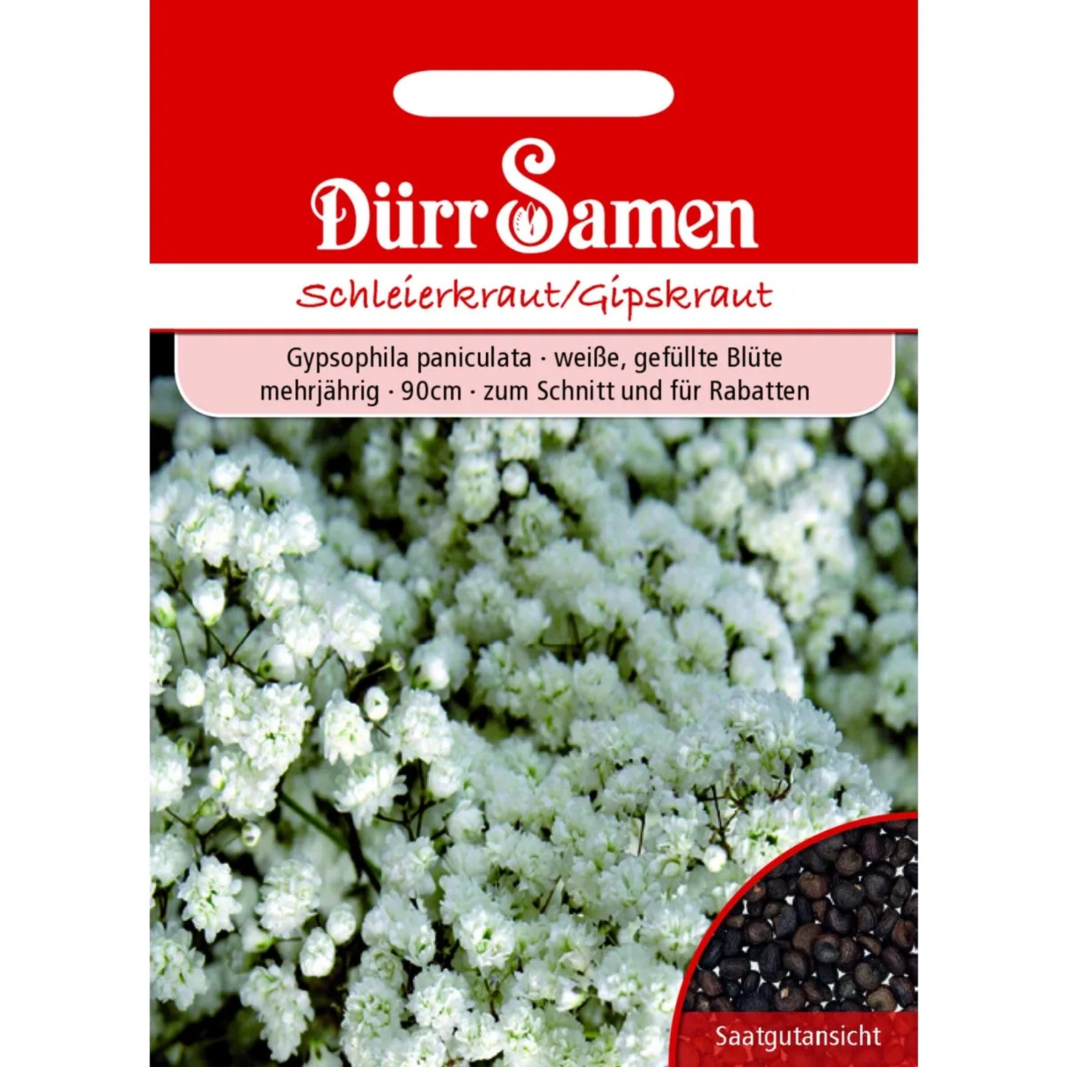 Dürr Samen Schleierkraut Gefüllt Weiße Blüten Mehrjährig Saatgut