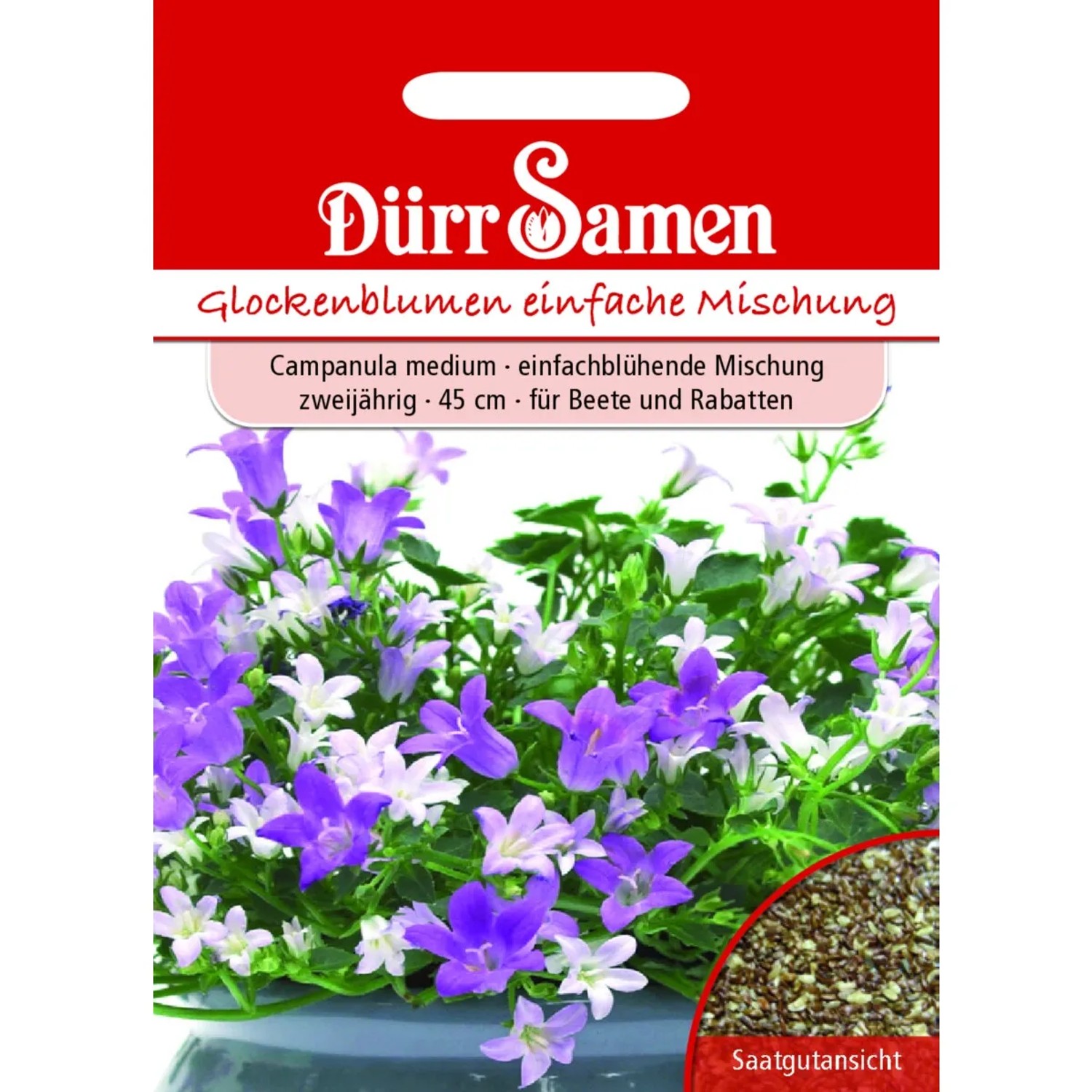 Dürr Samen Glockenblume Einfache Mischung Zweijährig Saatgut