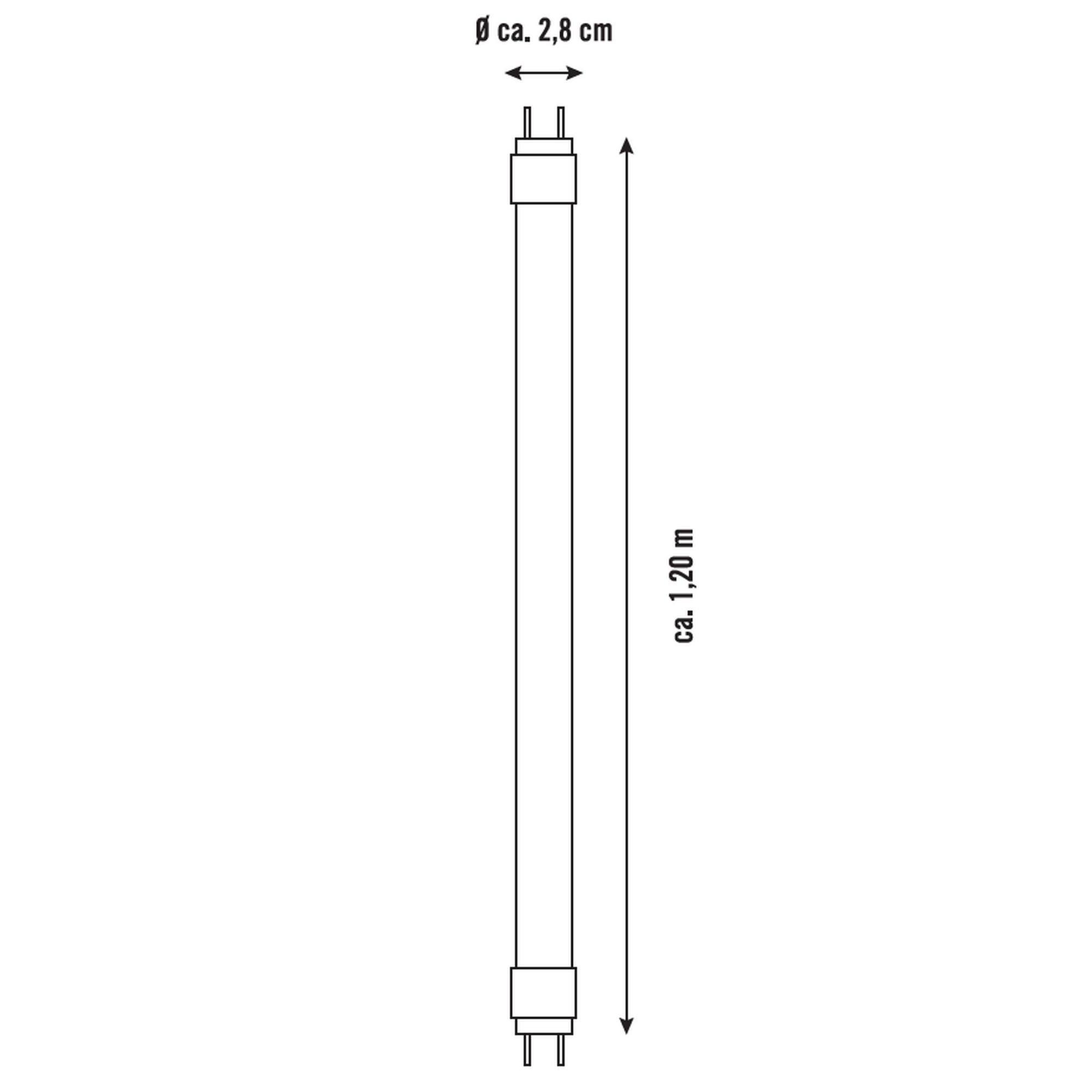 B1 LED-Leuchtmittelset matt G13 14 W 1600 lm neutralweiß 2 Stück Bild 3