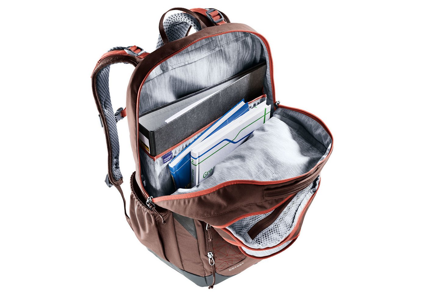 deuter Freizeitrucksack Deuter Schul-/Freizeitrucksack Cotogy raisin (1-tlg) Bild 5