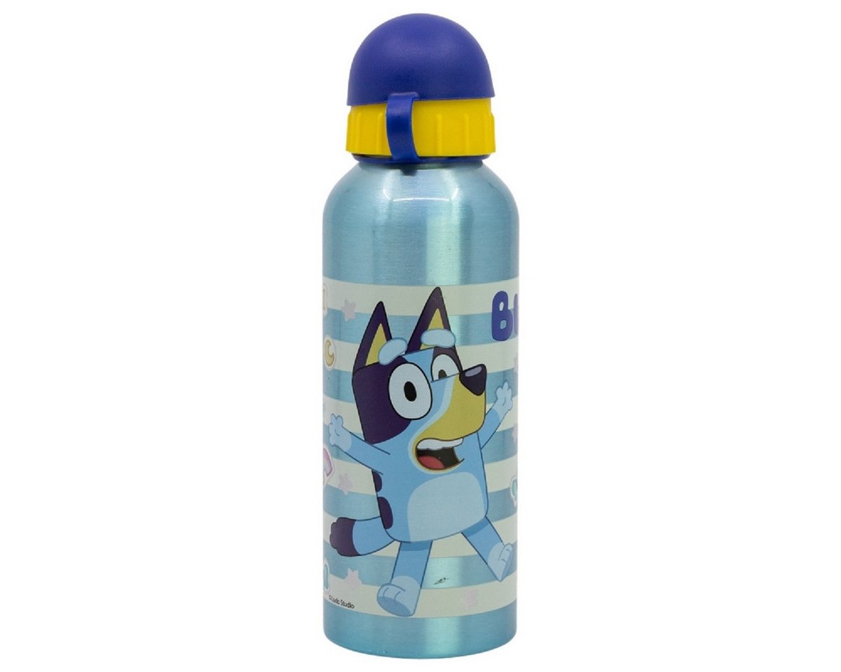 Bluey Trinkflasche Aluminium Trinkflasche 530 ml – Kinderflasche für Schule & Freizeit Bild 2