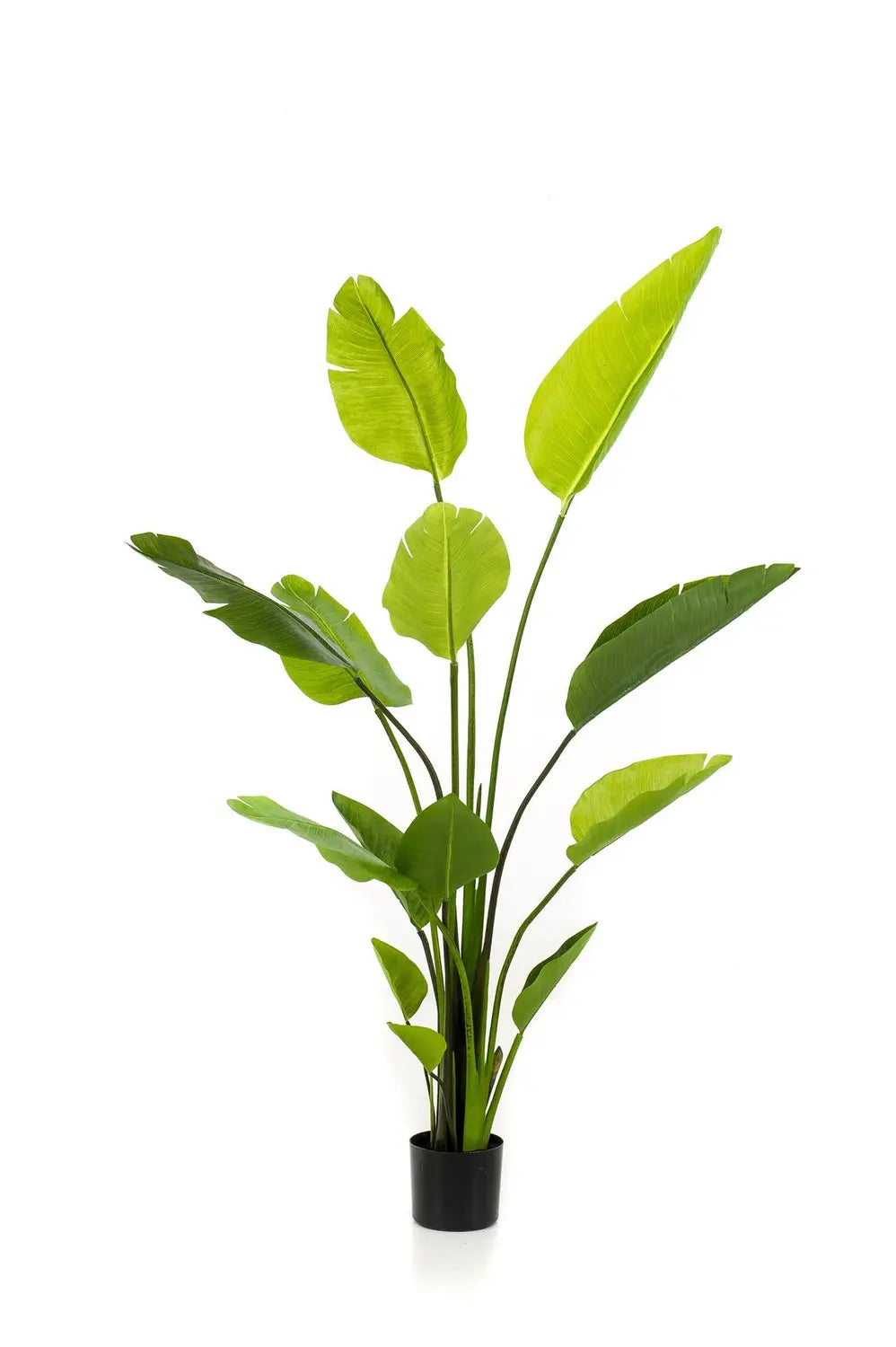 [neuwertig] B-ware Kunstpflanze Künstliche Pflanze Strelitzia Paradiesvogelblume 150 Cm Hoch980