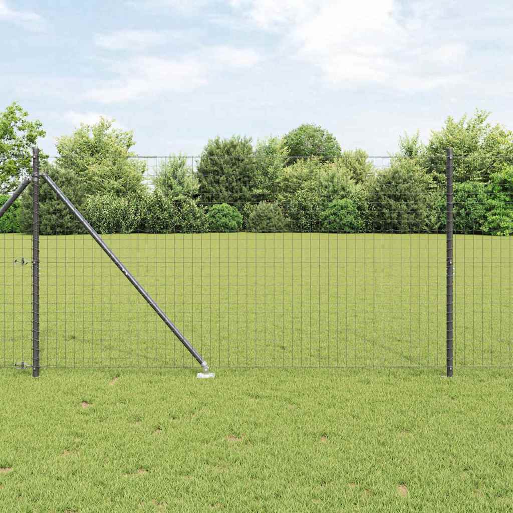 Vidaxl Clôture Euro Avec Des Pointes 10 X 1,2 M Acier Recouvert De Pvc