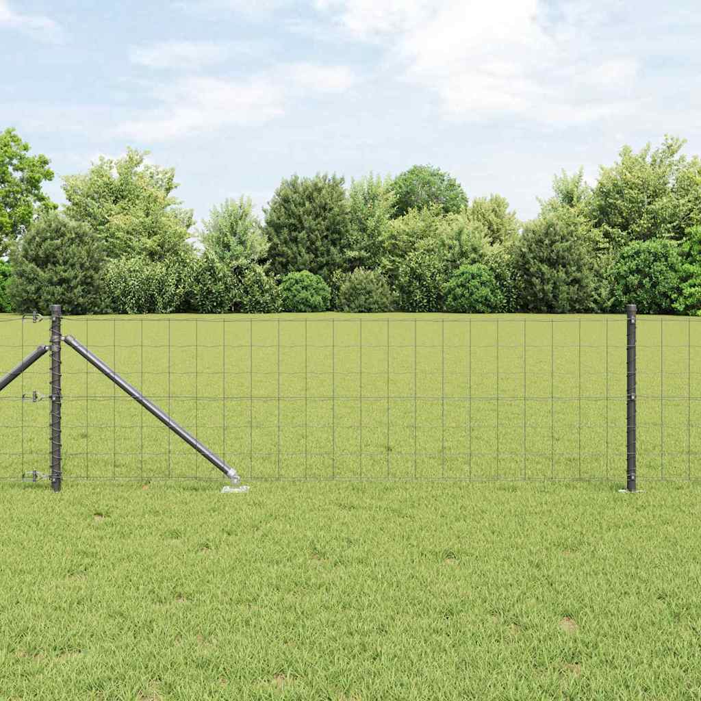 Vidaxl Clôture Euro Avec Des Pointes 50 X 0,6 M Acier Recouvert De Pvc